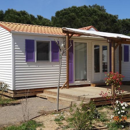 Mas Des Lavandes Serignan Exterior photo
